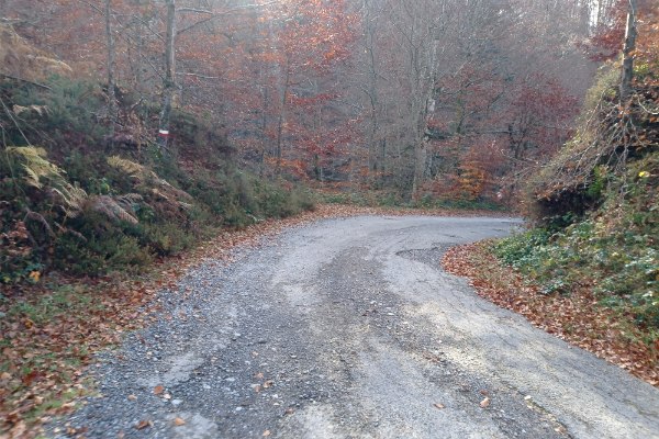 Derecha por pista