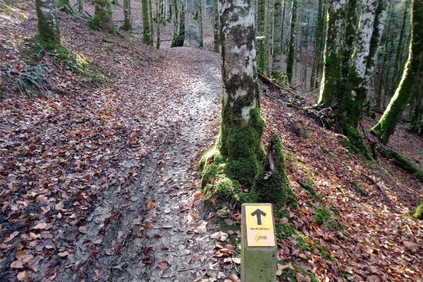 Seguir marcas sendero Errekaidorra
