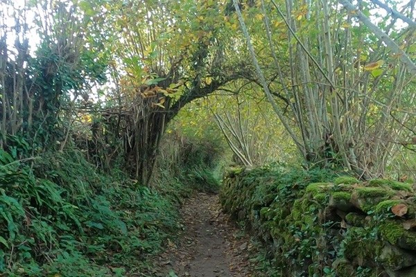 Sendero