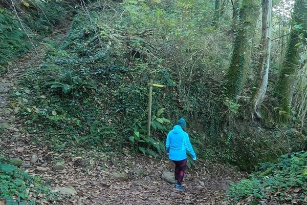 Camino a la Cascada de Xorroxin
