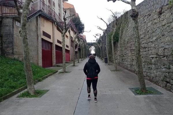 Calle peatonal
